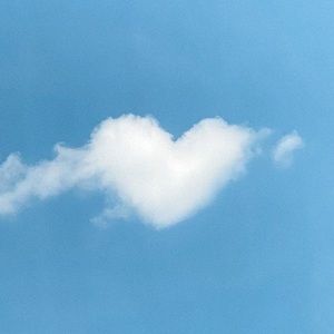 Meet your Posher, Abbey